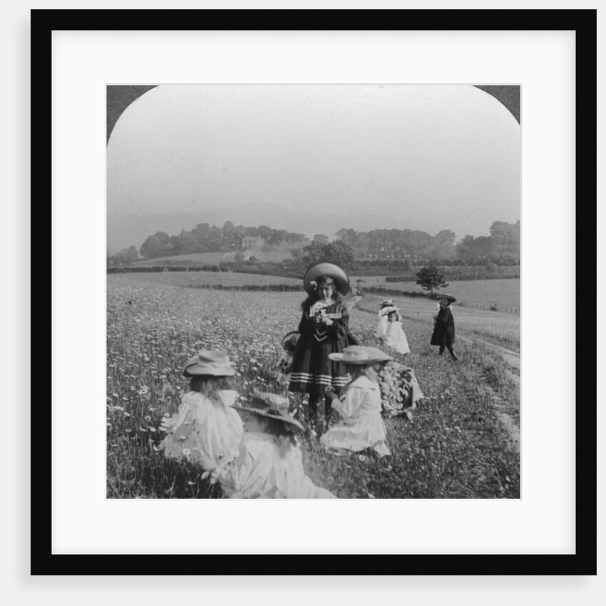 Children in a meadow, Keswick, Cumbria by Excelsior Stereoscopic Tours
