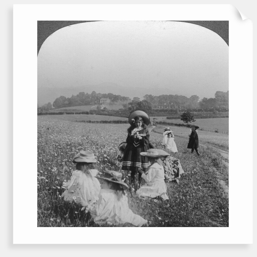 Children in a meadow, Keswick, Cumbria by Excelsior Stereoscopic Tours