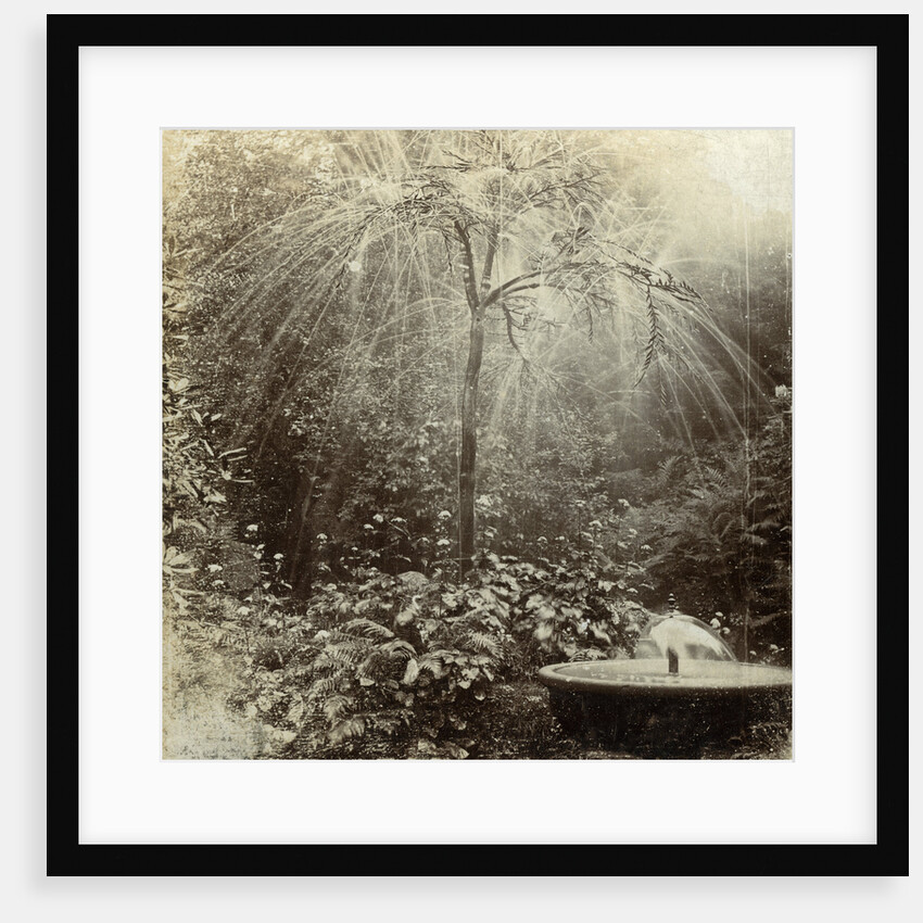 Willow Tree Fountain, Chatsworth, Derbyshire by The Fine Art Photographers Co