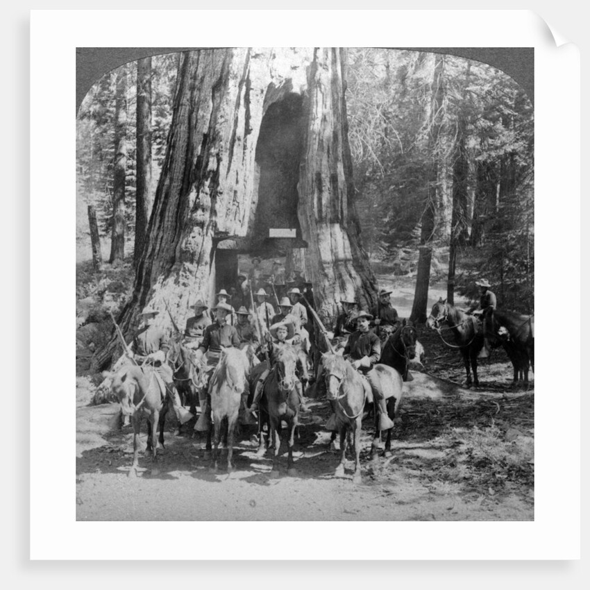 Cavalry passing through the great tree 'California', California, USA by Underwood & Underwood