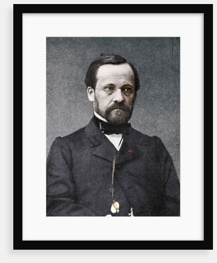 Louis Pasteur, French microbiologist and chemist by Anonymous