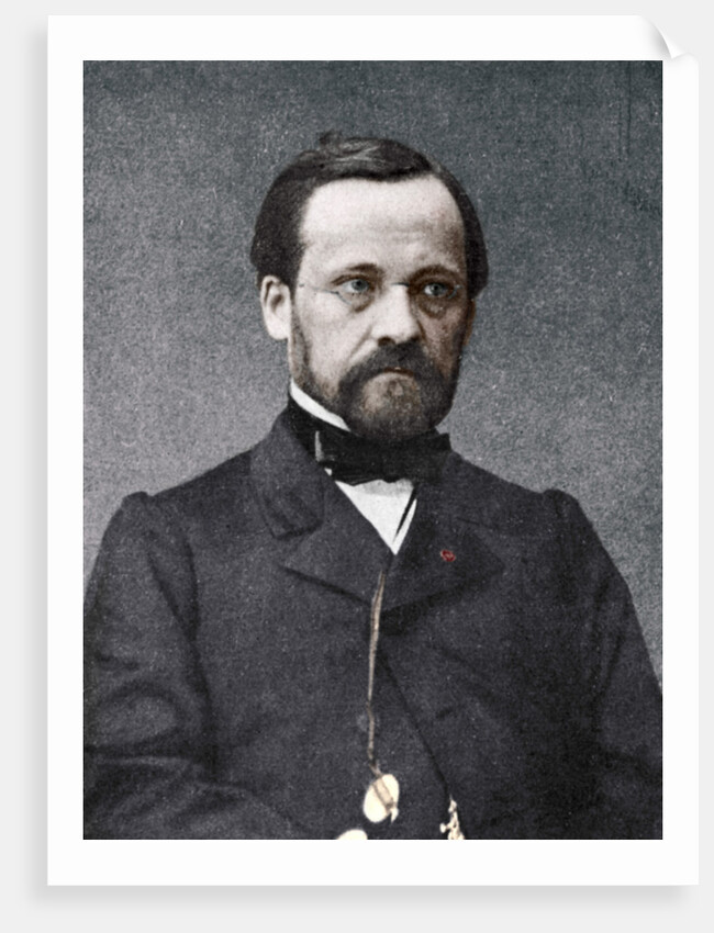 Louis Pasteur, French microbiologist and chemist by Anonymous