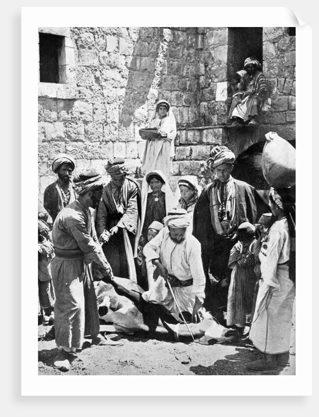 Killing the fatted calf by Underwood & Underwood