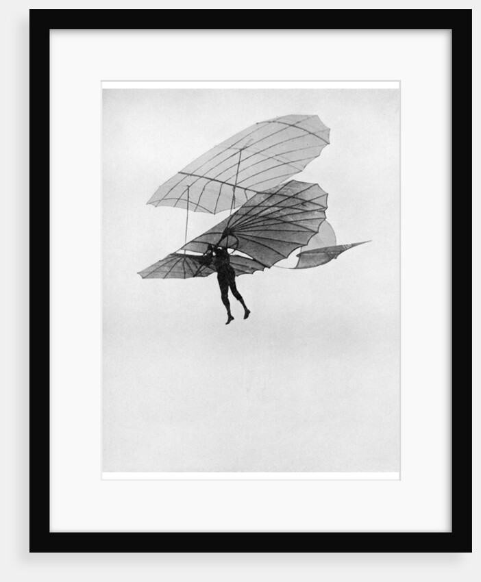Otto Lilienthal makes one of his last flights by Anonymous