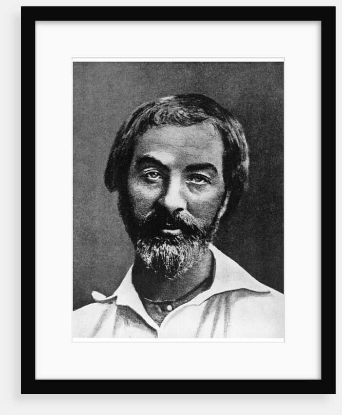 Walt Whitman, American poet by Anonymous