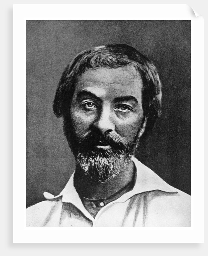 Walt Whitman, American poet by Anonymous