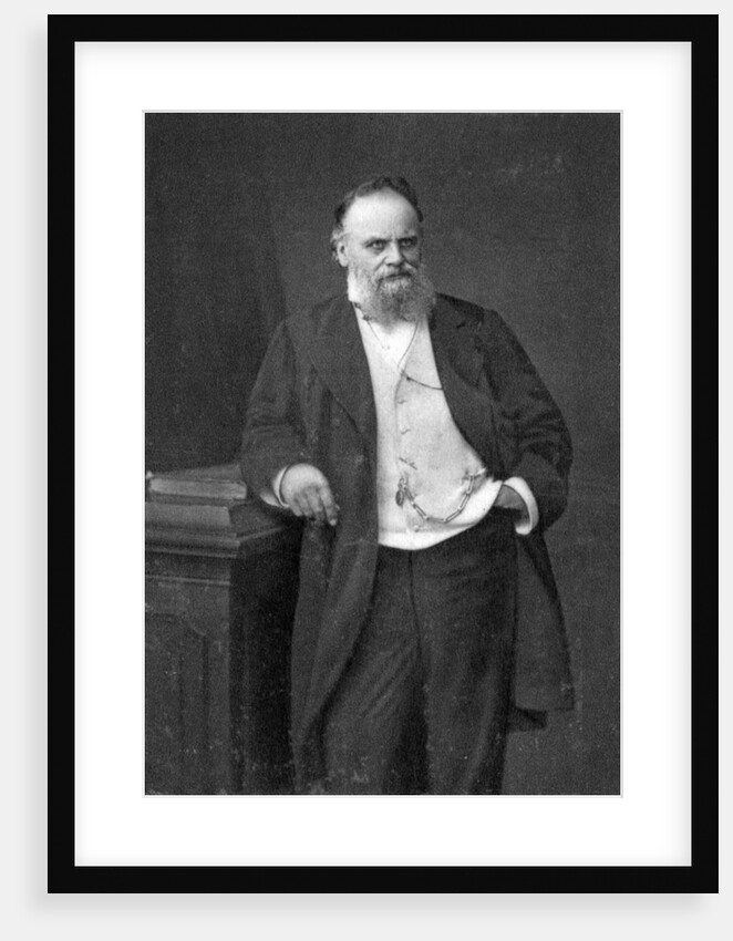 Aristide Boucicaut, French retailer by Anonymous