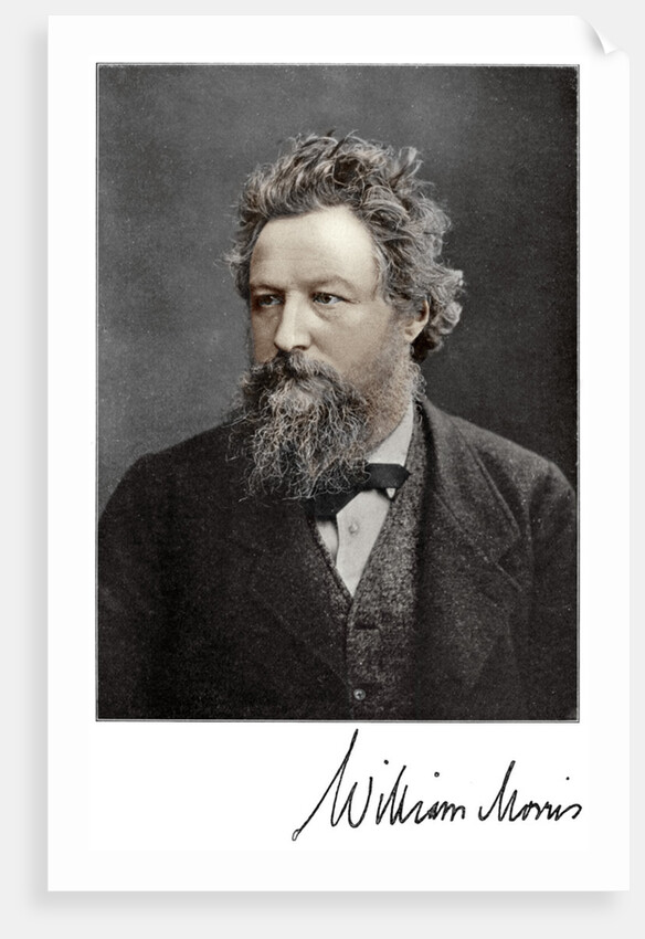 William Morris, 19th-century English artist, writer, socialist and activist by Anonymous