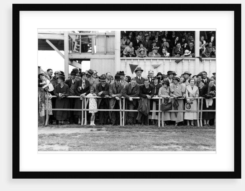 Crowd at the races by Anonymous