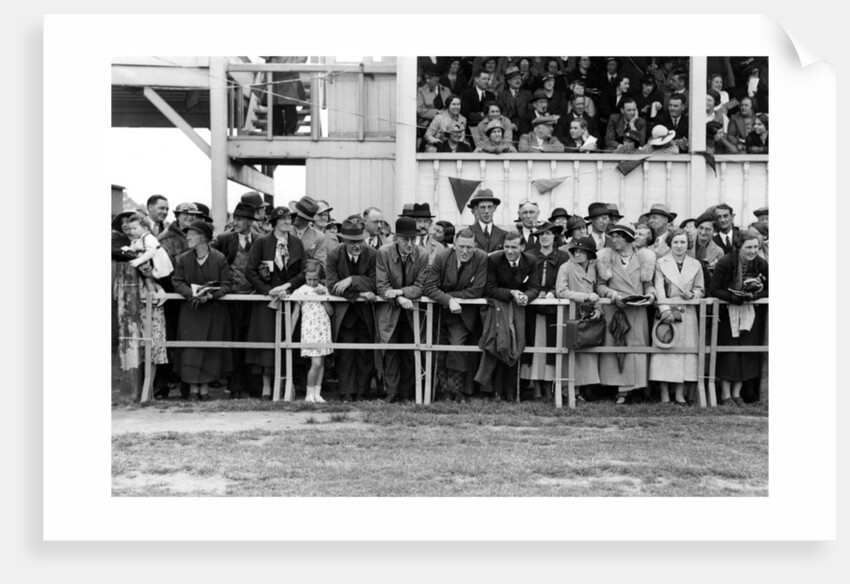 Crowd at the races by Anonymous