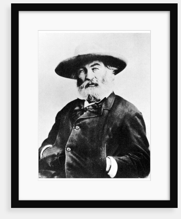 Walt Whitman, American poet by Anonymous
