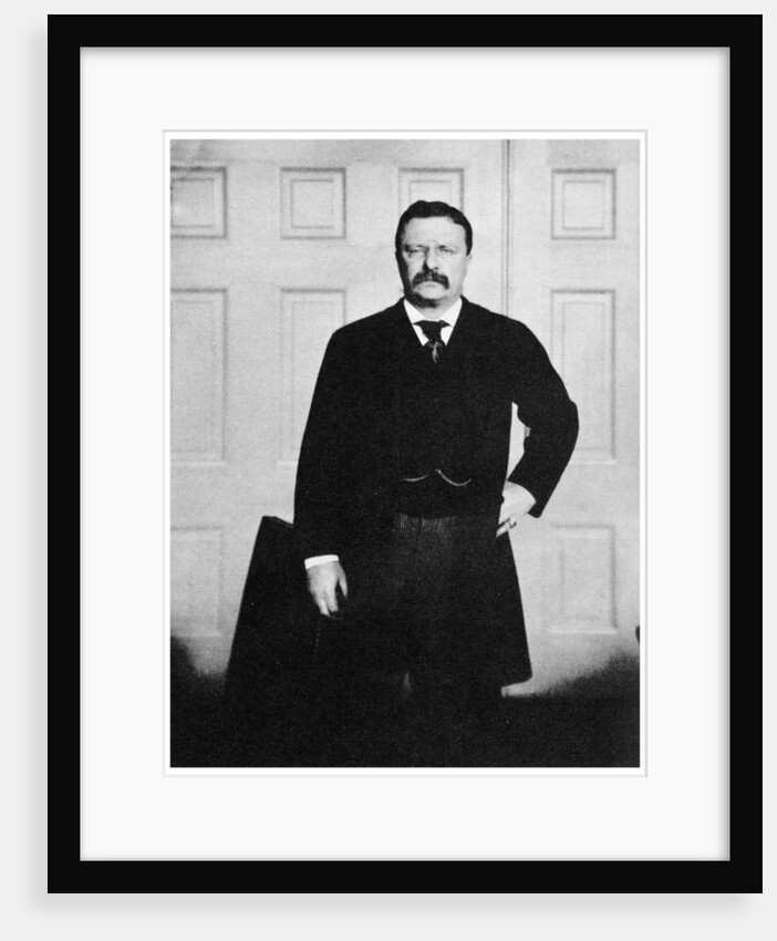 Theodore Roosevelt, 26th President of the United States by Anonymous
