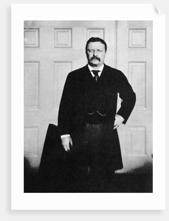 Theodore Roosevelt, 26th President of the United States by Anonymous