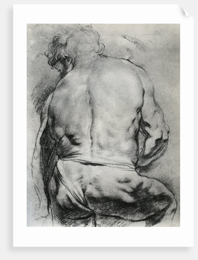 The Back of a Nude Man by Anonymous