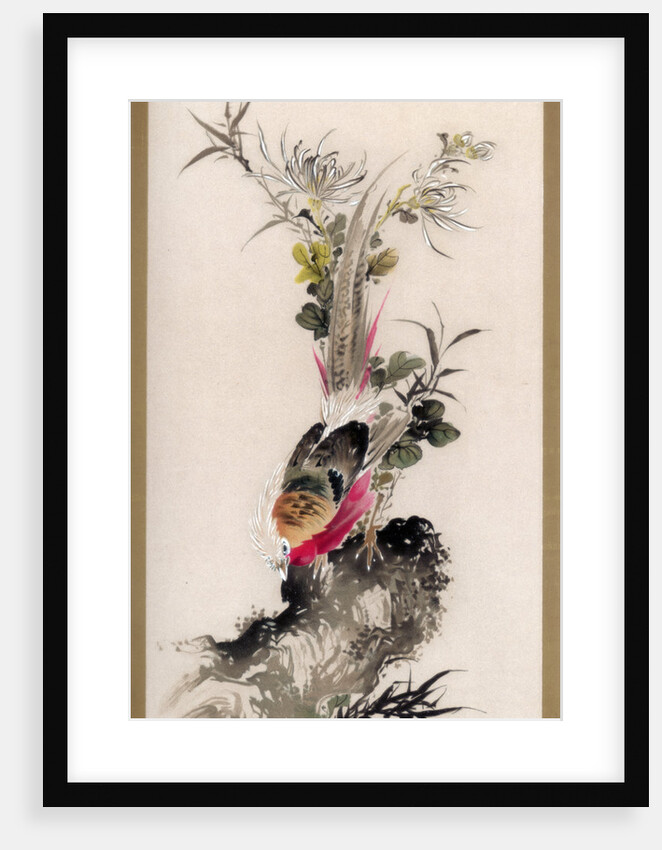 Pheasant by Witherby & Co