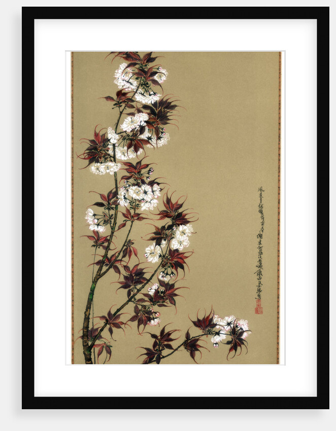 The Cherry Blossoms of Mikawa by Wilhelm Greve