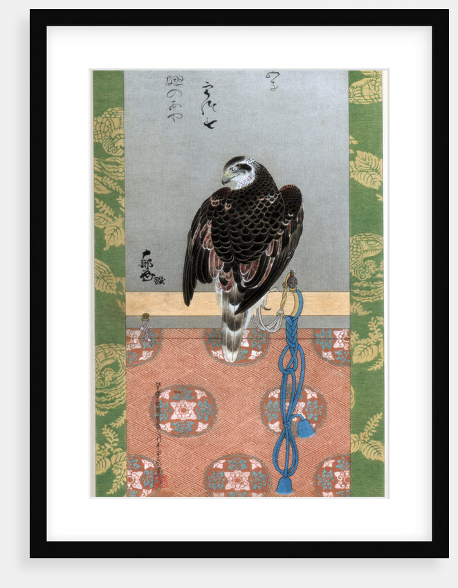 Falcon by Wilhelm Greve