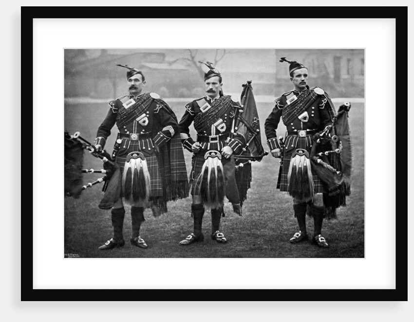 Pipers of the 1st Scots Guards by Gregory & Co