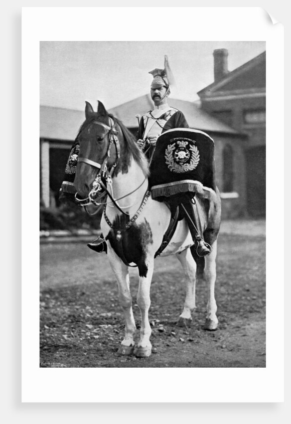 The drum horse of the 17th Lancers by Gregory & Co