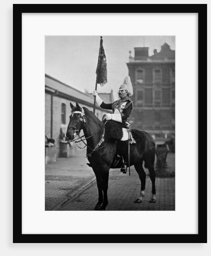 Squadron Corporal Major of the 1st Life Guards with standard by Gregory & Co