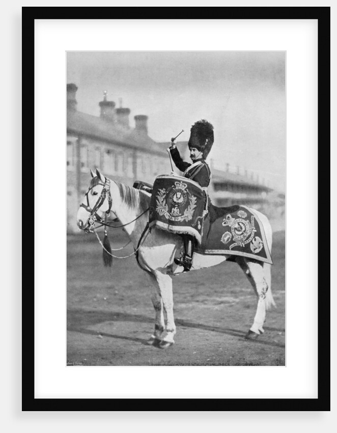 'Plum Duff', the drum-horse of the Royal Scots Greys by Gregory & Co