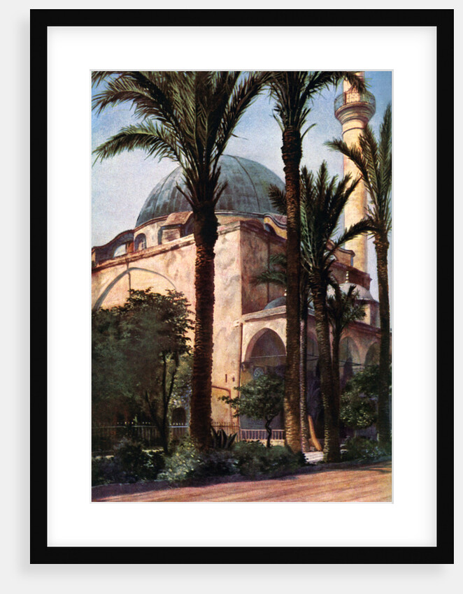 Jezzar Pasha mosque, Acre, Palestine by Donald McLeish