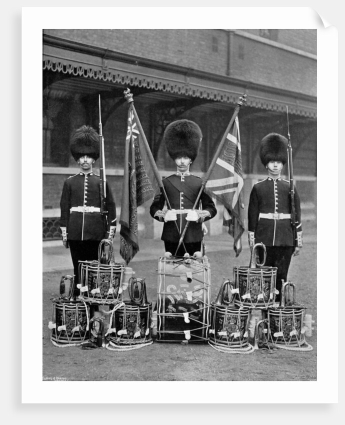 The colours and drums of the 2nd Grenadier Guards by J Thomson