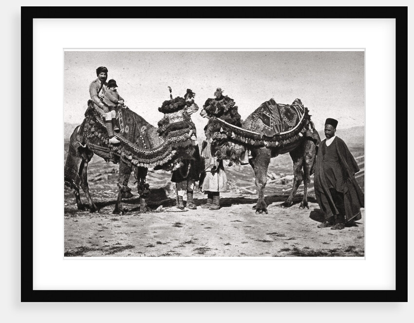 Pilgrims with their camels on their way to Karbala, Iraq by A Kerim