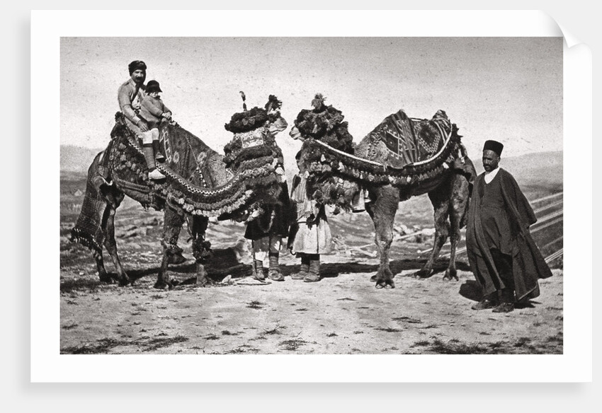 Pilgrims with their camels on their way to Karbala, Iraq by A Kerim