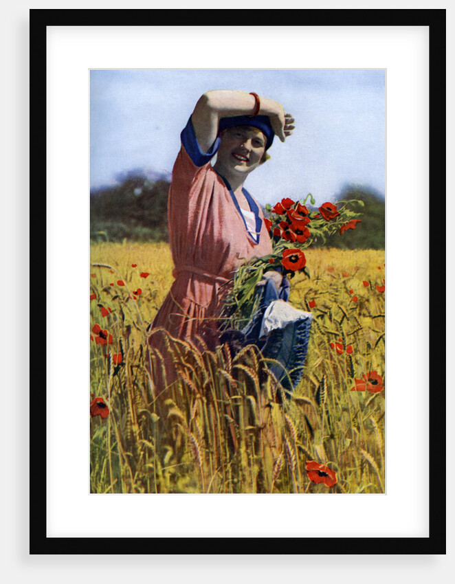 The English Rose by Horace Walter Nicholls