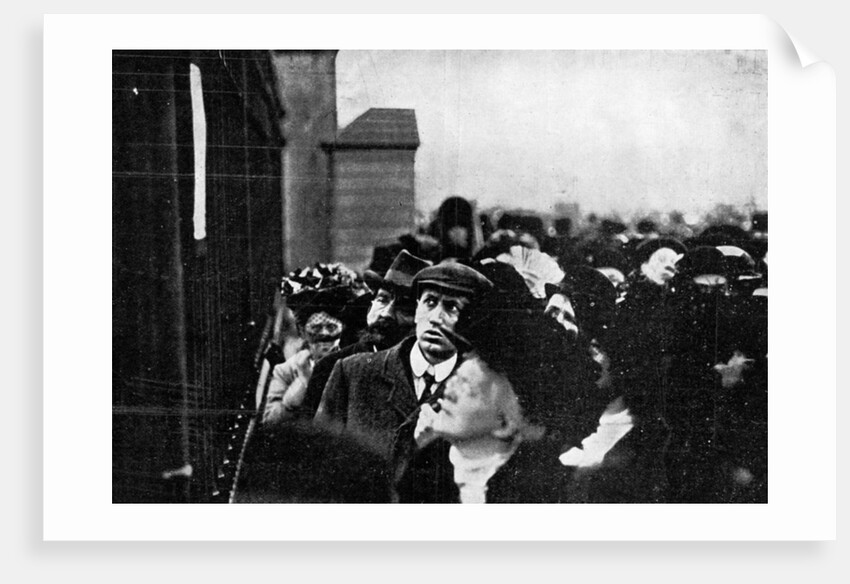 Official Notification of the Death of King Edward Posted Outside Buckingham Palace by Illustrations Bureau