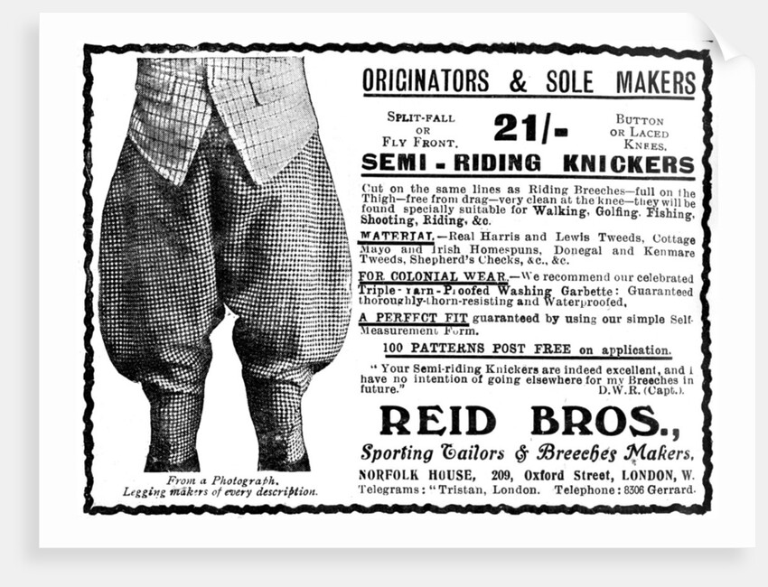 Advert for Reid Bros, Sporting Tailors & Breeches Makers by Anonymous