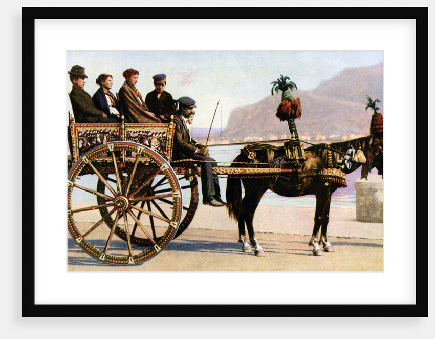 Cart, Palermo, Sicily by Anonymous