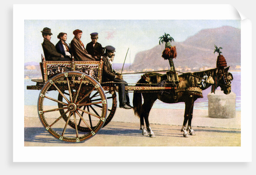 Cart, Palermo, Sicily by Anonymous