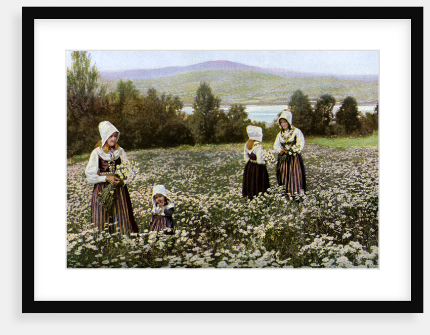 Picking flowers in a meadow near Leksand, Sweden by Anonymous