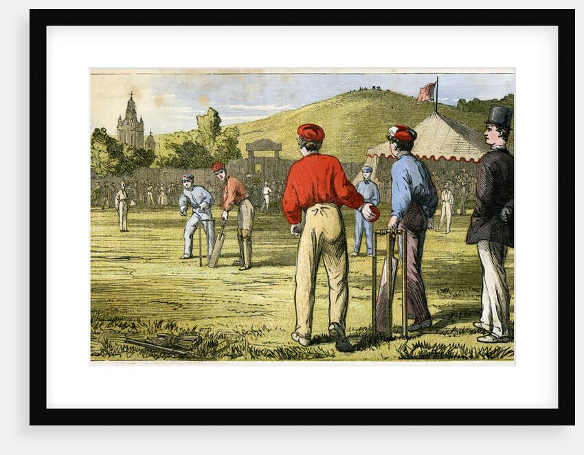 Cricket by Anonymous