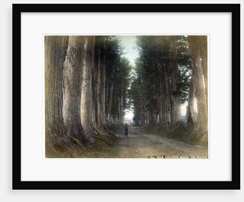 Imaichi Road at Nikko, Japan by Anonymous