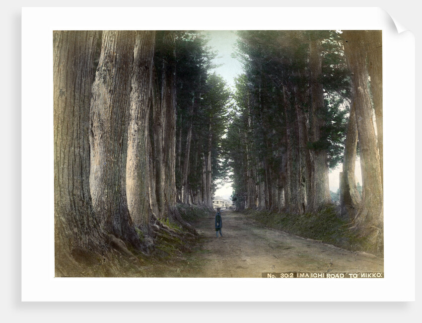 Imaichi Road at Nikko, Japan by Anonymous