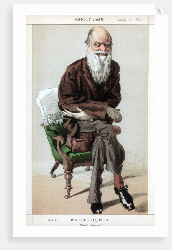 Natural Selection by Coide