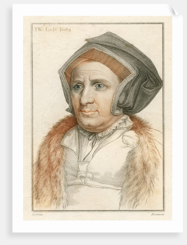 The Lady Buls by Freeman