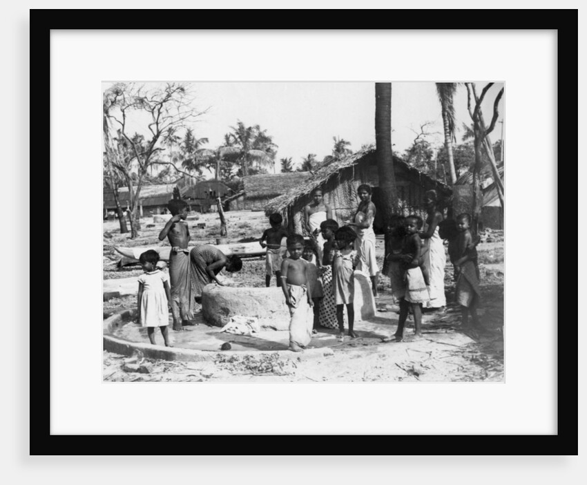 Village scene, Trincomalee, Ceylon by Anonymous