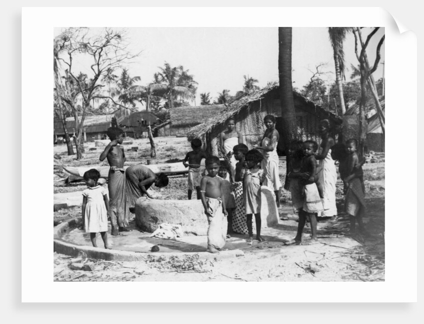 Village scene, Trincomalee, Ceylon by Anonymous
