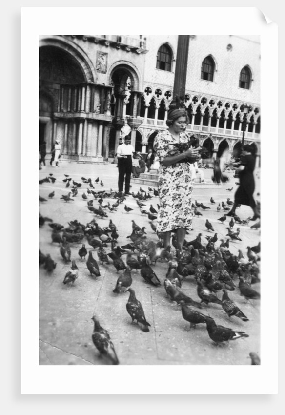Woman surrounded by pigeons, St Mark's Square, Venice, Italy by Anonymous