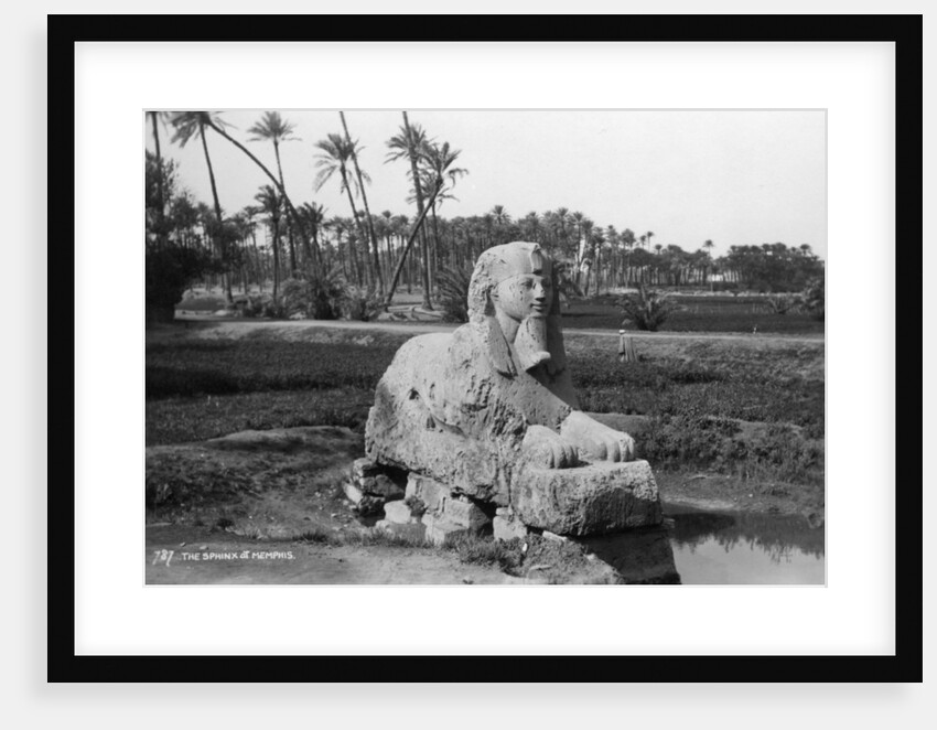 Alabaster Sphinx at Memphis, Egypt by Anonymous
