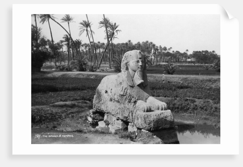 Alabaster Sphinx at Memphis, Egypt by Anonymous