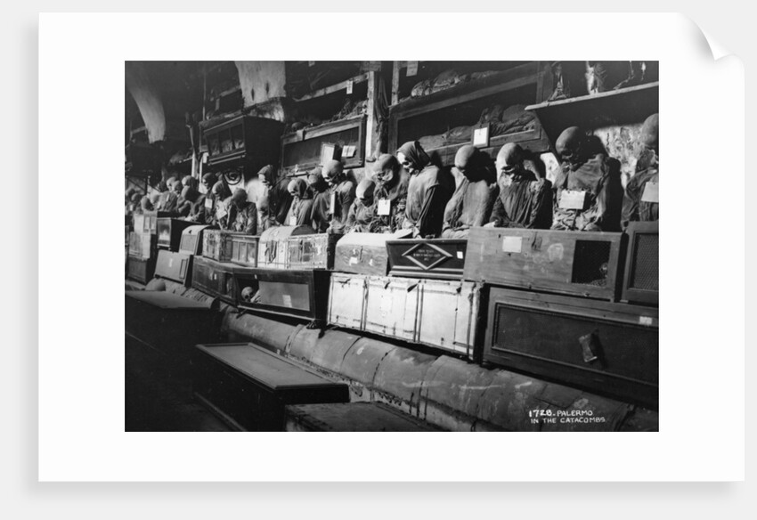 Catacombs of the Capuchins, Palermo, Italy by Anonymous