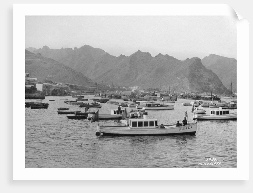 Tenerife, Canary Islands, Spain by Anonymous