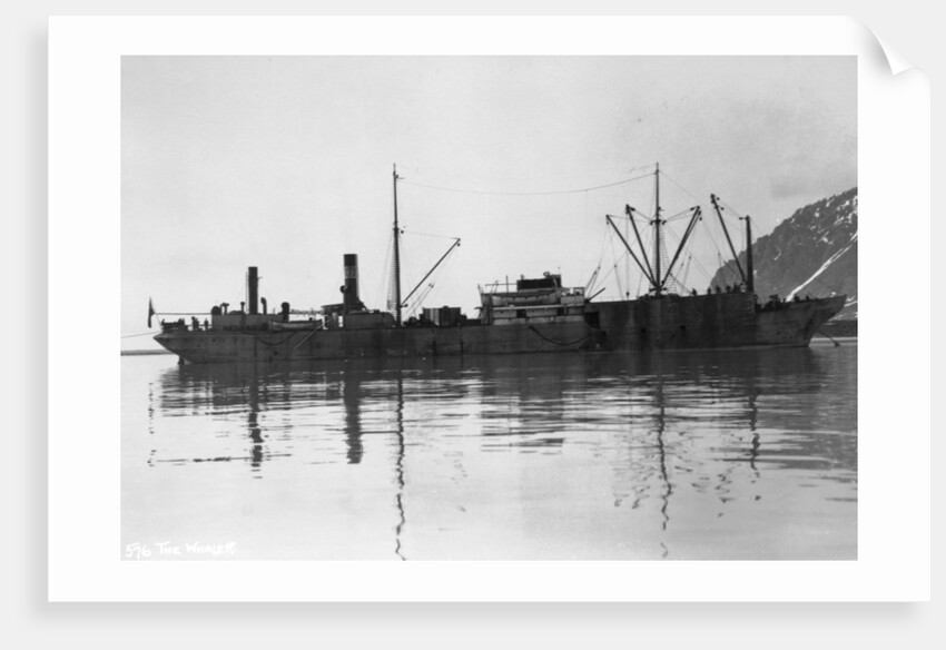 A whaler, Magdalene Bay, Spitzbergen, Norway by Anonymous