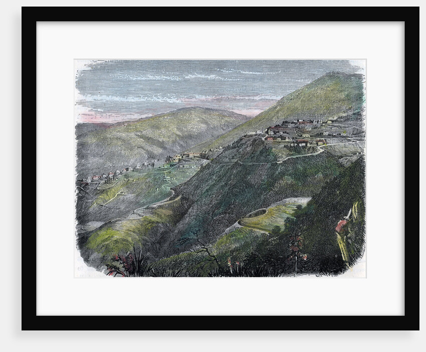 View of Newcastle, in the Blue Mountains, Jamaica by Anonymous