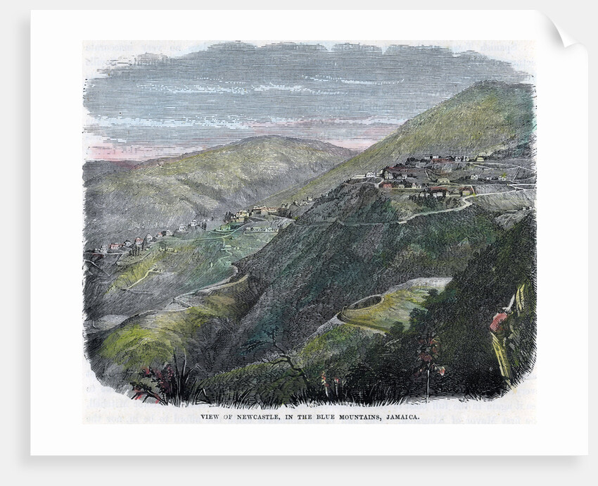 View of Newcastle, in the Blue Mountains, Jamaica by Anonymous